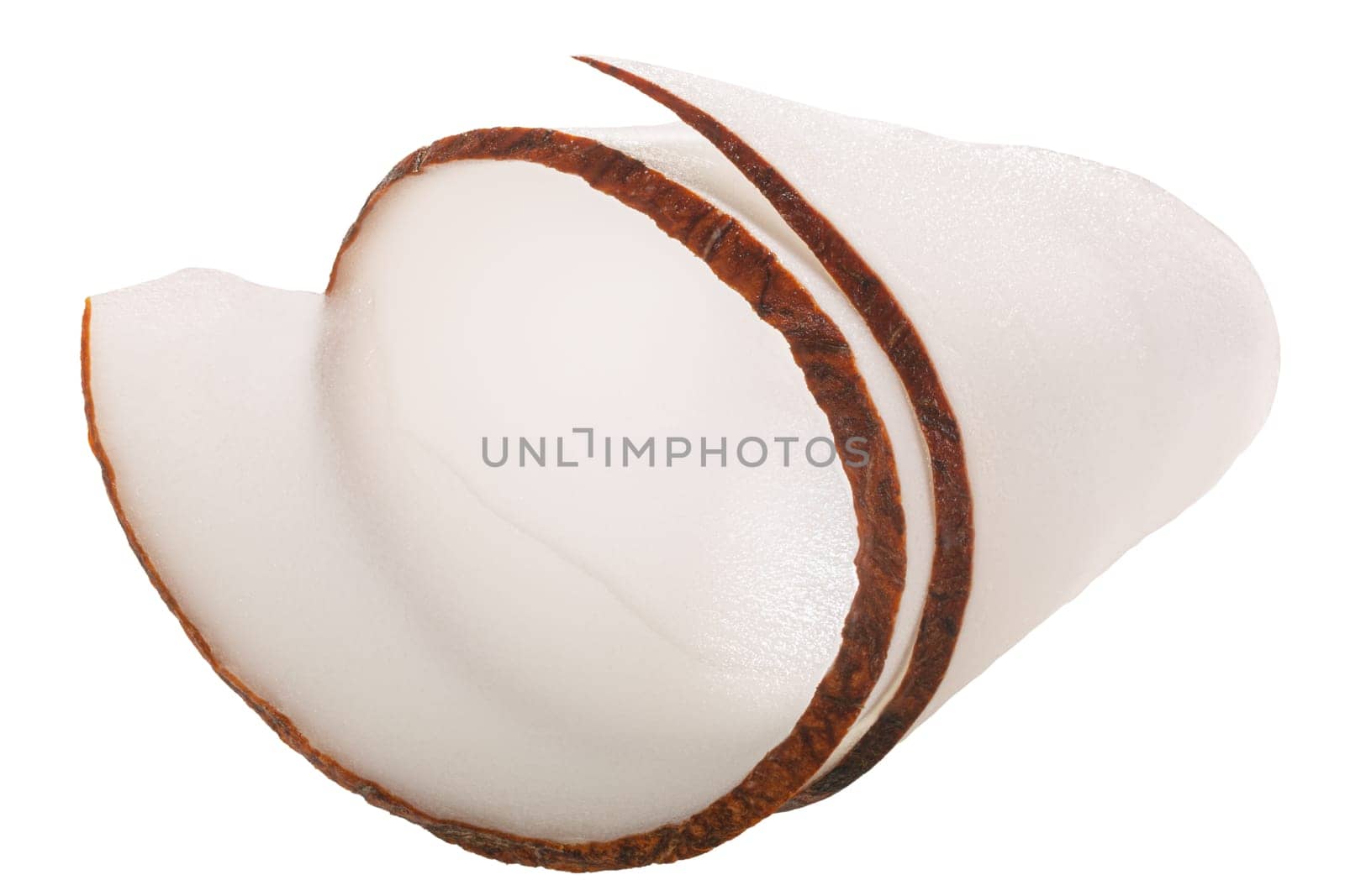 Coconut shaving, curl or rolled up slice of kernel meat, isolated