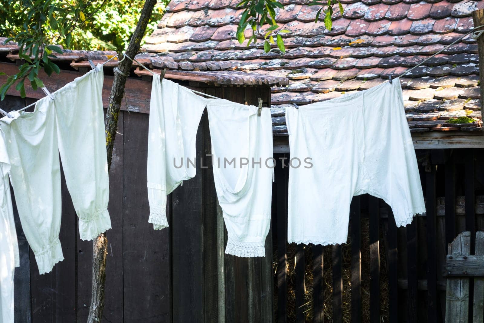 White vintage underpants hanging from a clothes line in a sunny summer garden
