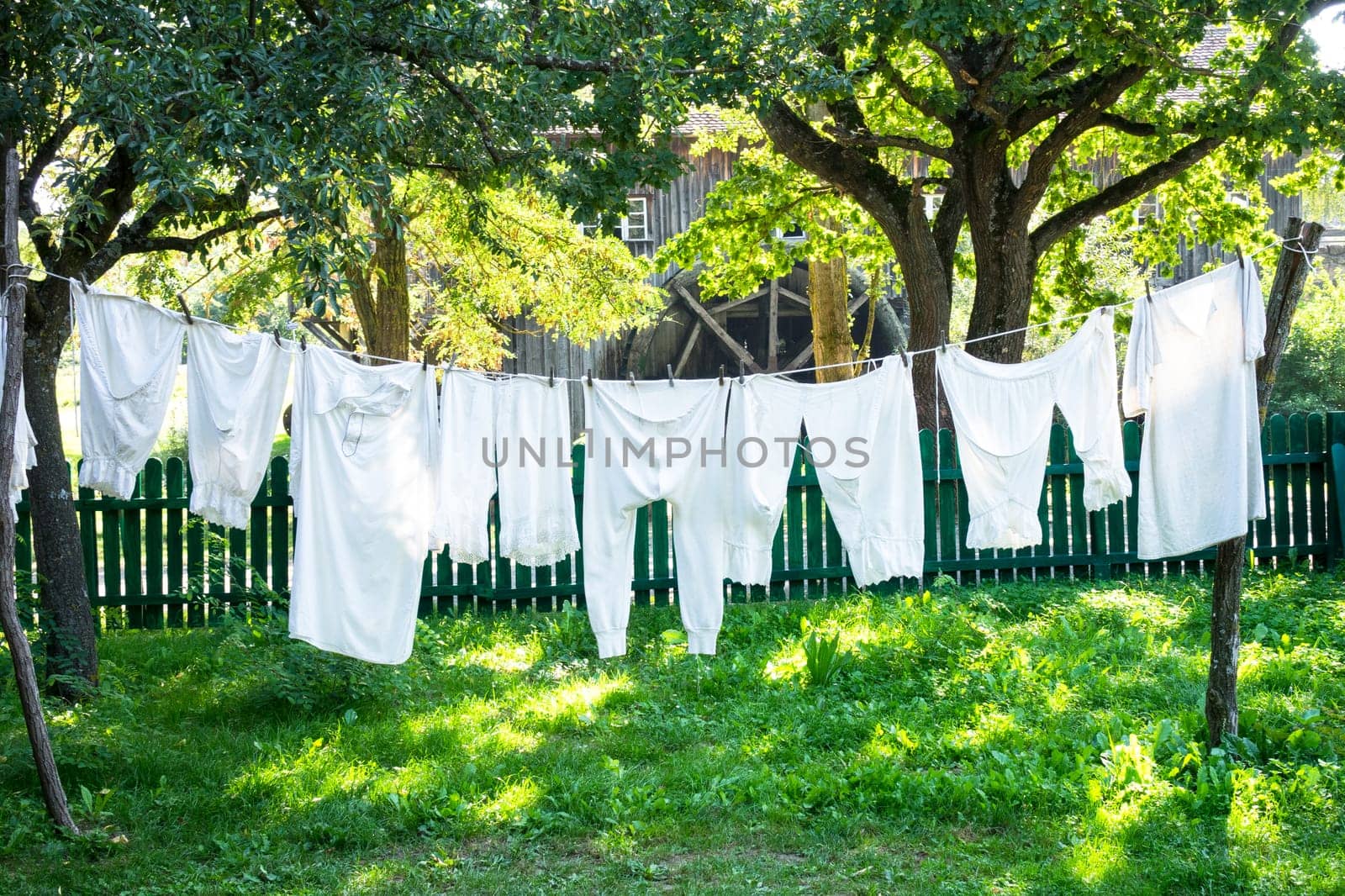White vintage underwear hanging from a clothes line in a sunny summer garden