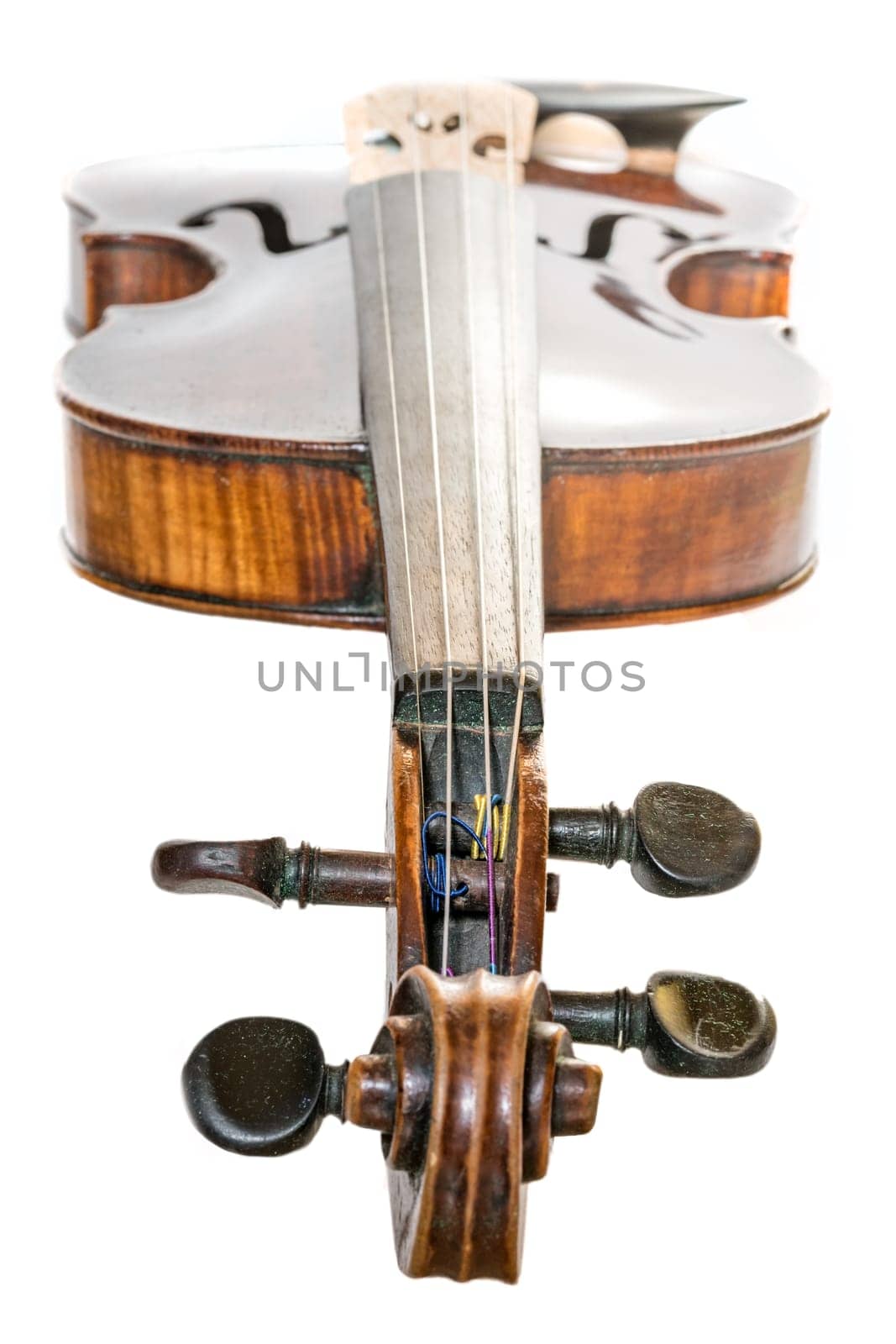 Old dark brown Violin isolated on white