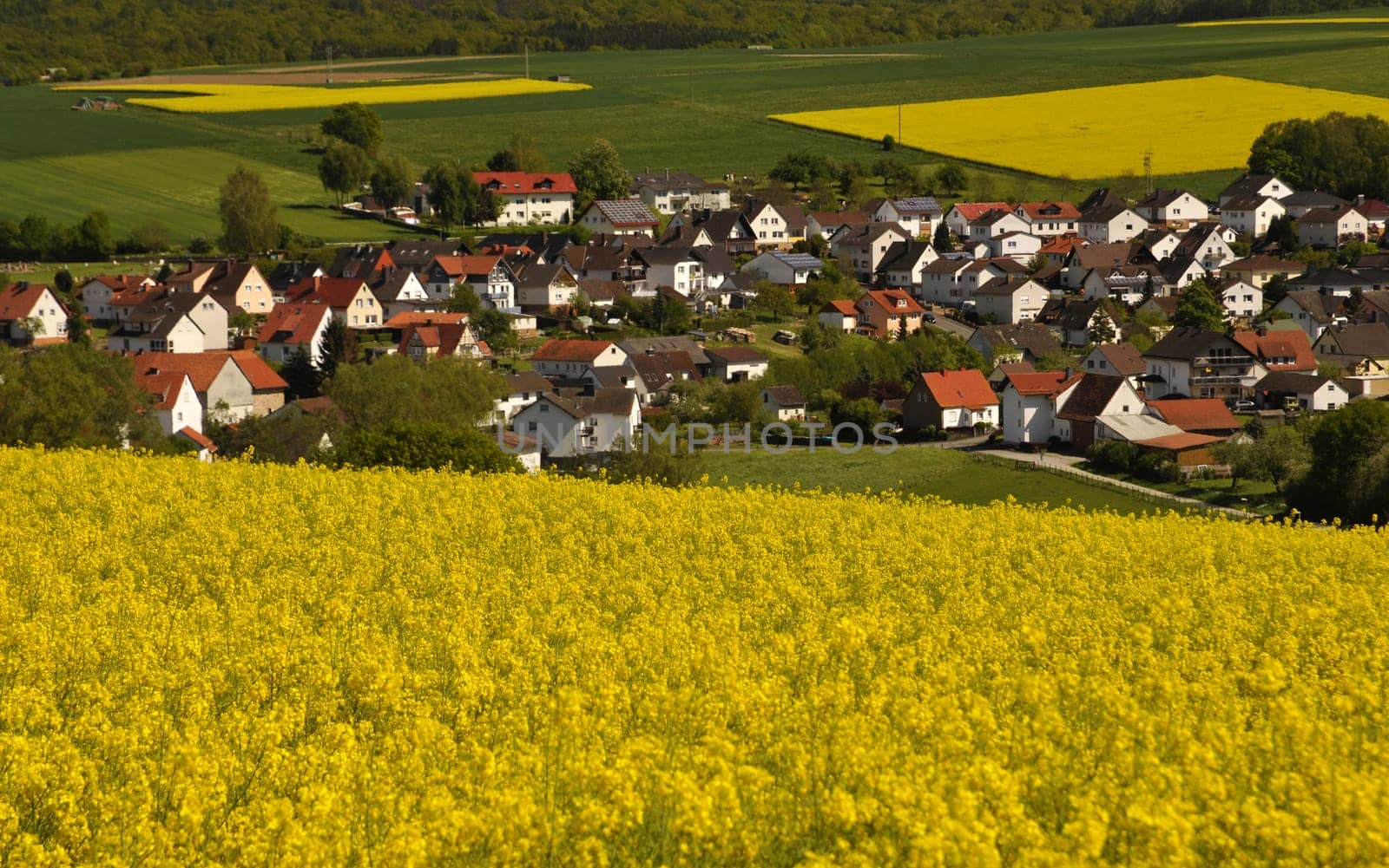 Hombressen