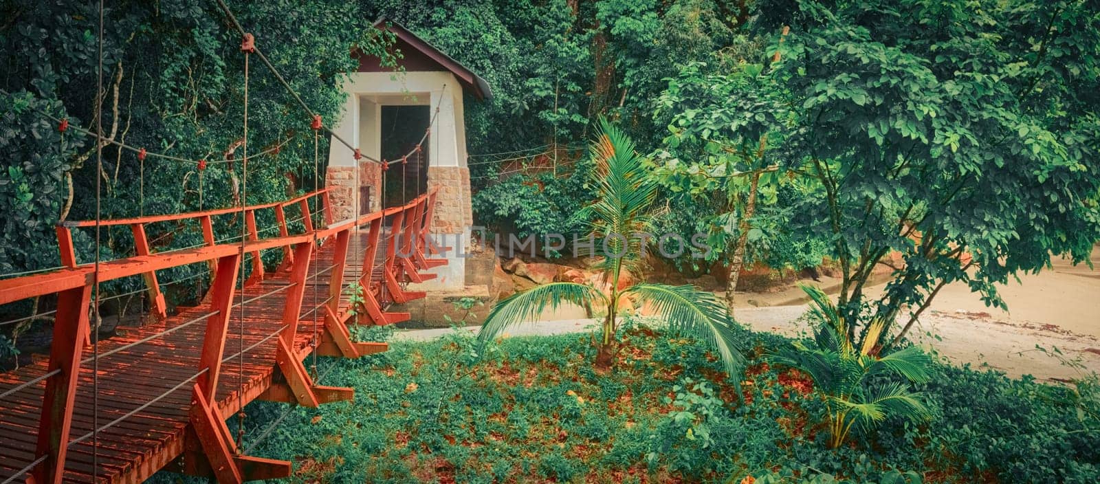 Footbridge at Penang national park at rainy day, Malaysia. Panorama