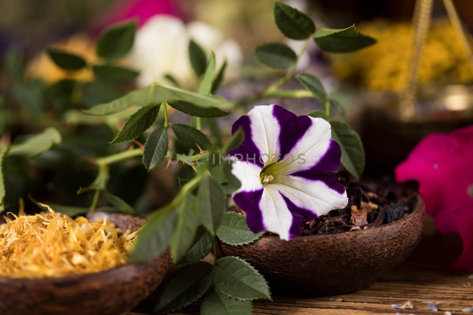 Homeopathy, herbal medicine on wooden table
