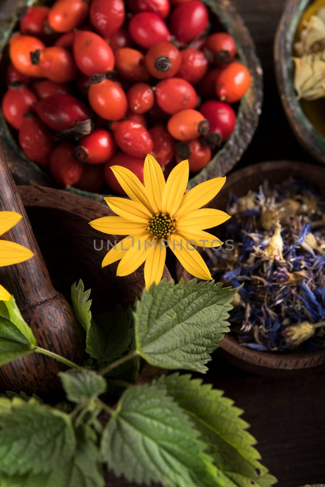 Homeopathy, herbal medicine on wooden table