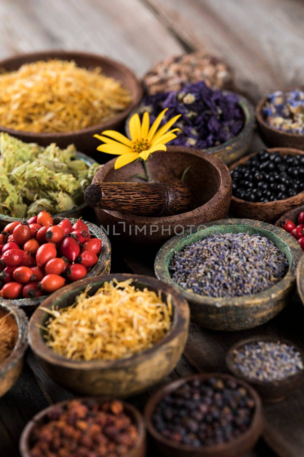 Homeopathy, herbal medicine on wooden table