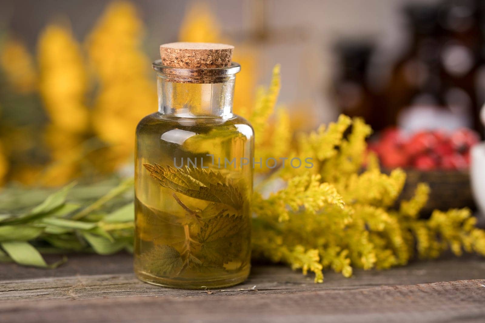 Fresh herbs and oils, wooden table background