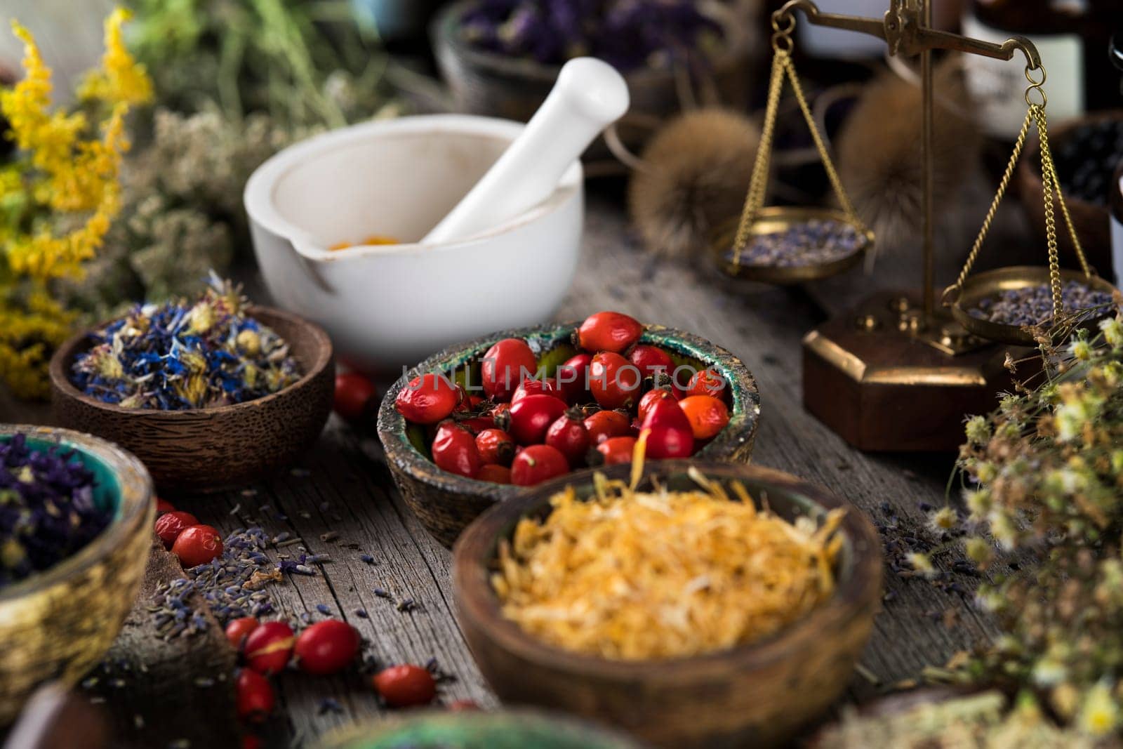 Alternative medicine, dried herbs background