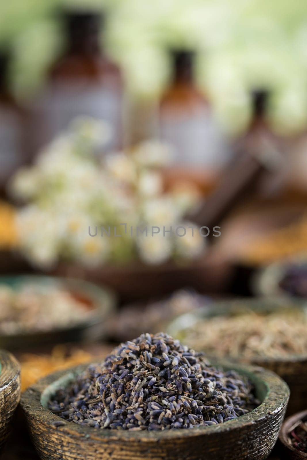 Fresh medicinal herbs on wooden background