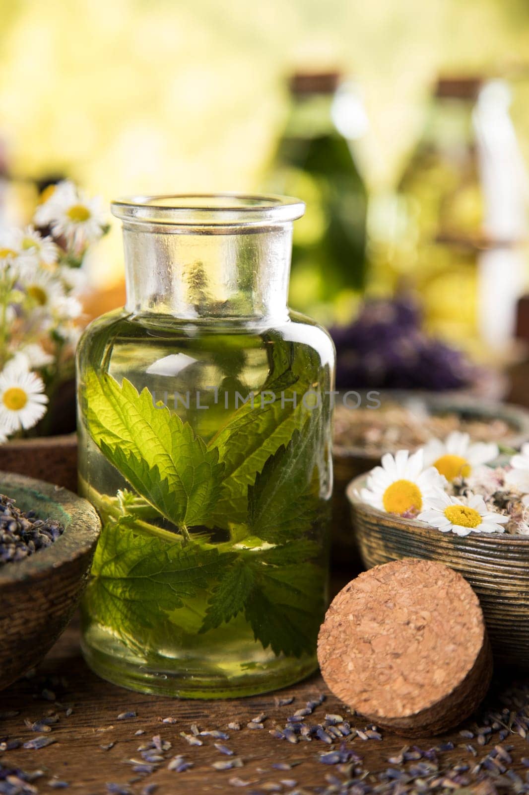 Fresh herbs and oils, wooden table background