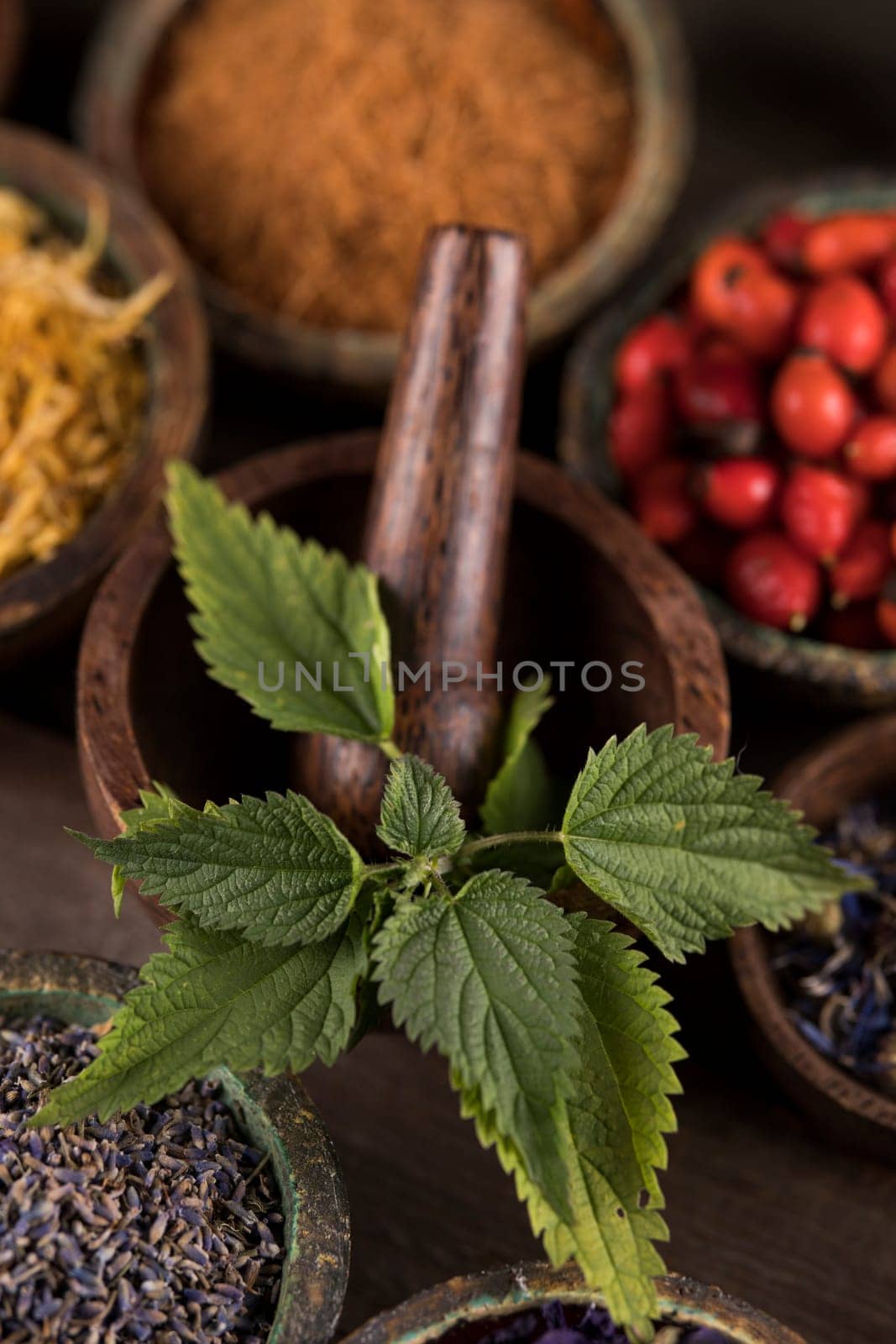 Homeopathy, herbal medicine on wooden table