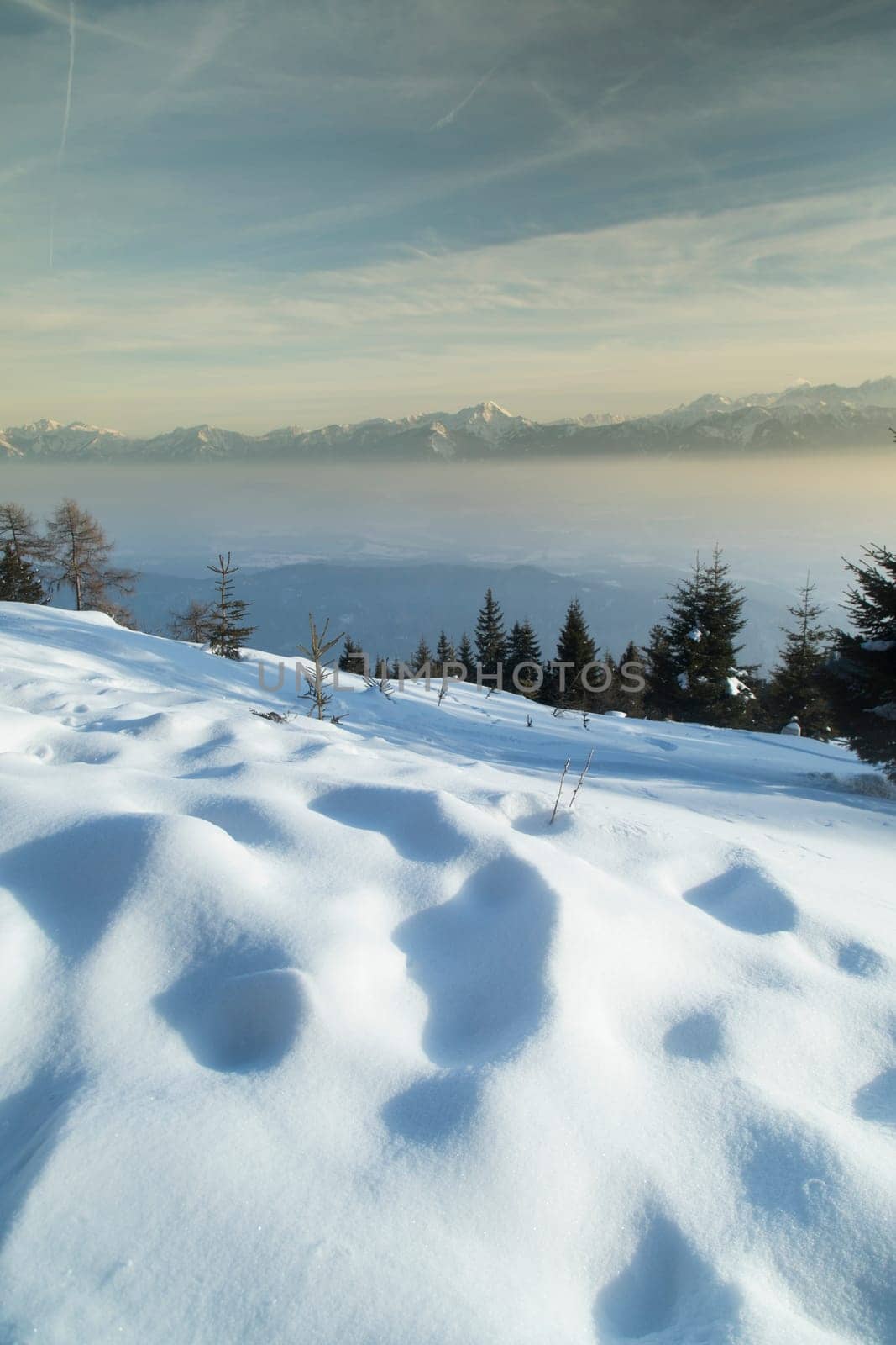 Fantastic winter landscape, sunset, snow covered trees