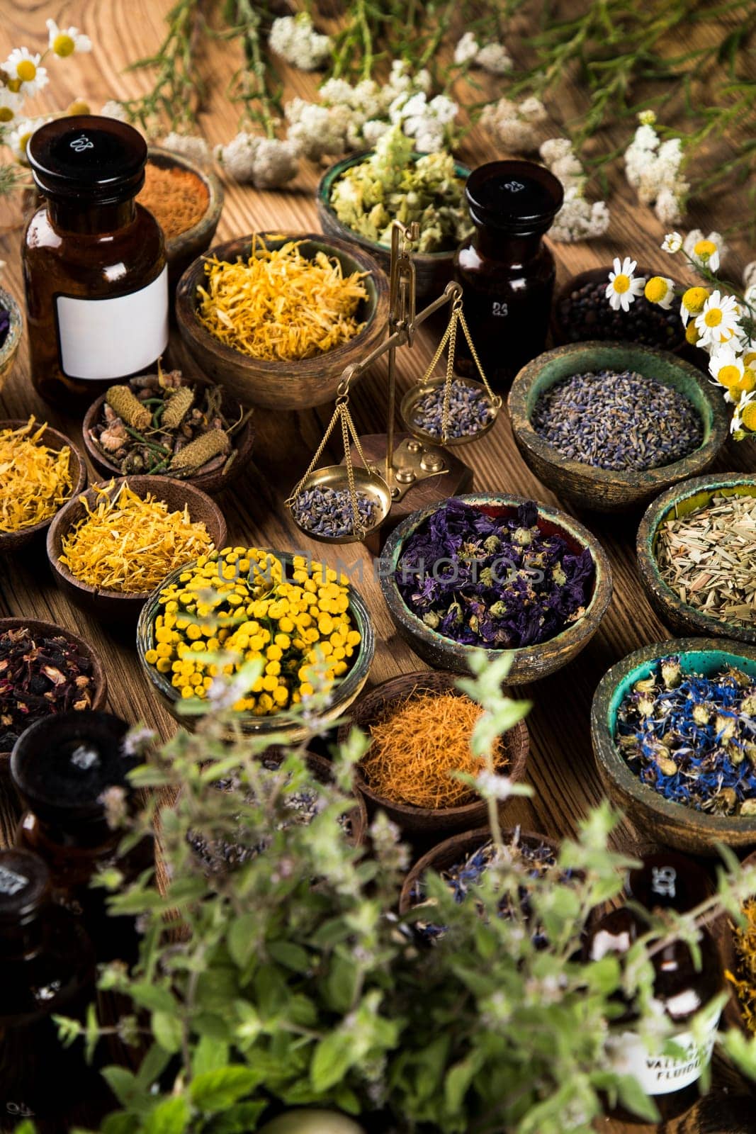 Alternative medicine, dried herbs background
