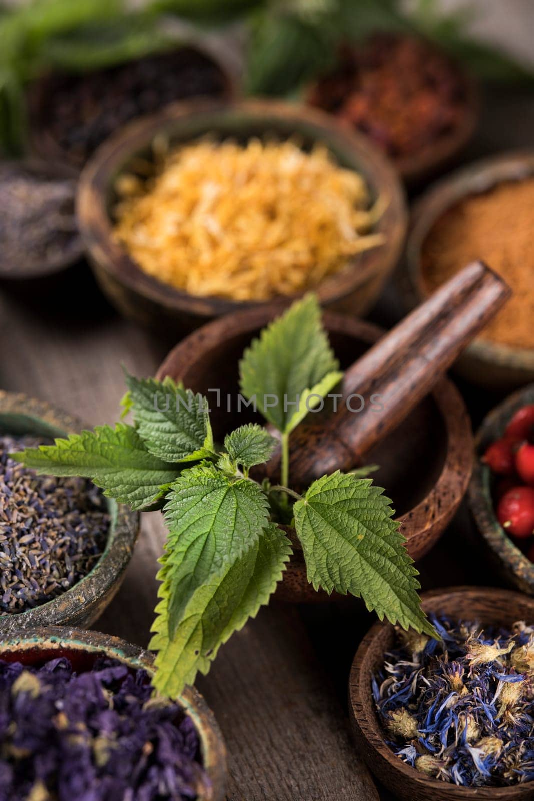 Homeopathy, herbal medicine on wooden table