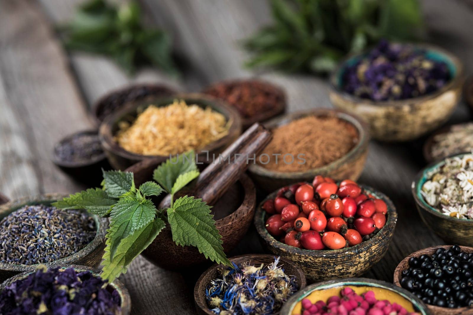 Alternative medicine, dried herbs background