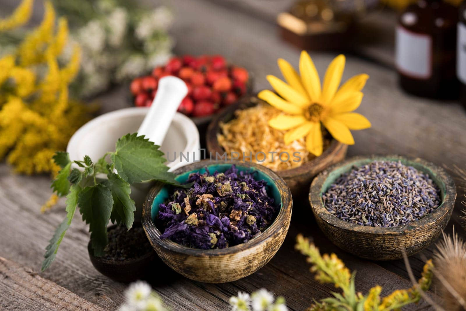 Homeopathy, herbal medicine on wooden table