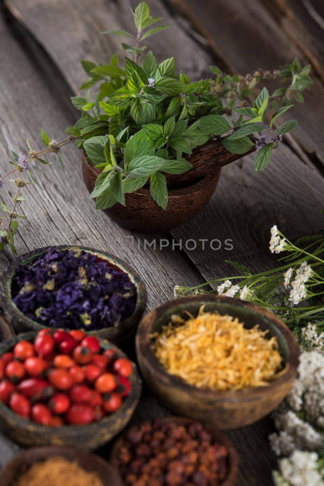 Homeopathy, herbal medicine on wooden table