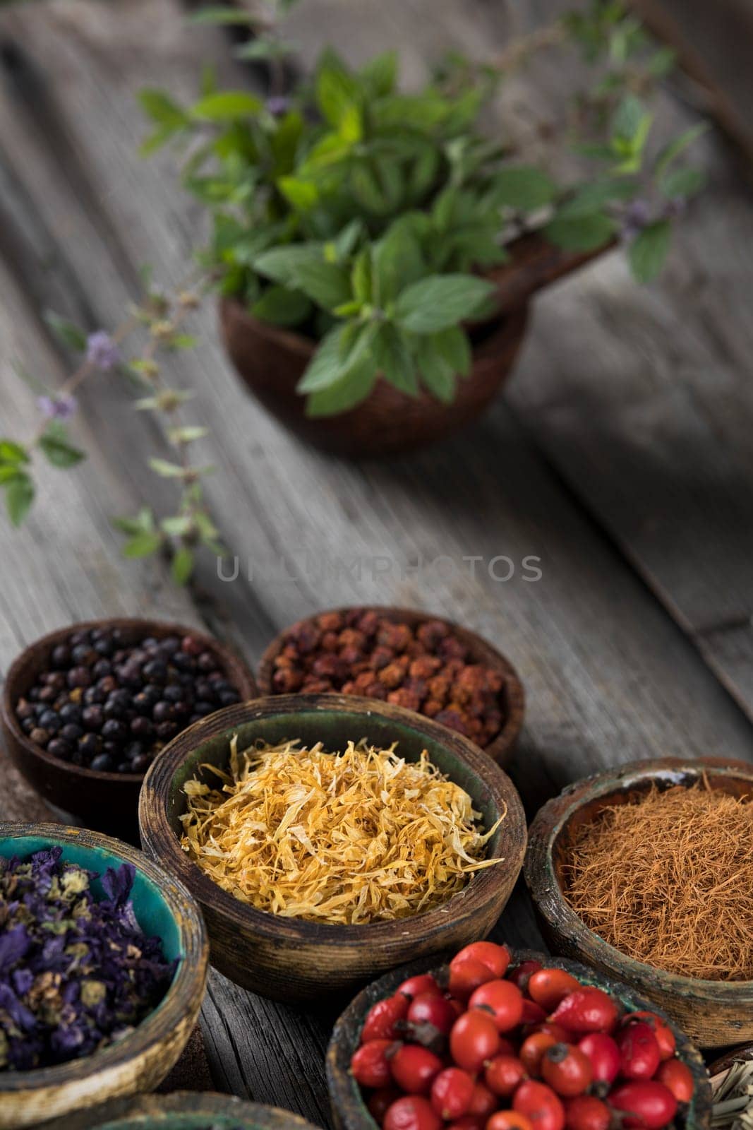 Fresh medicinal herbs on wooden background