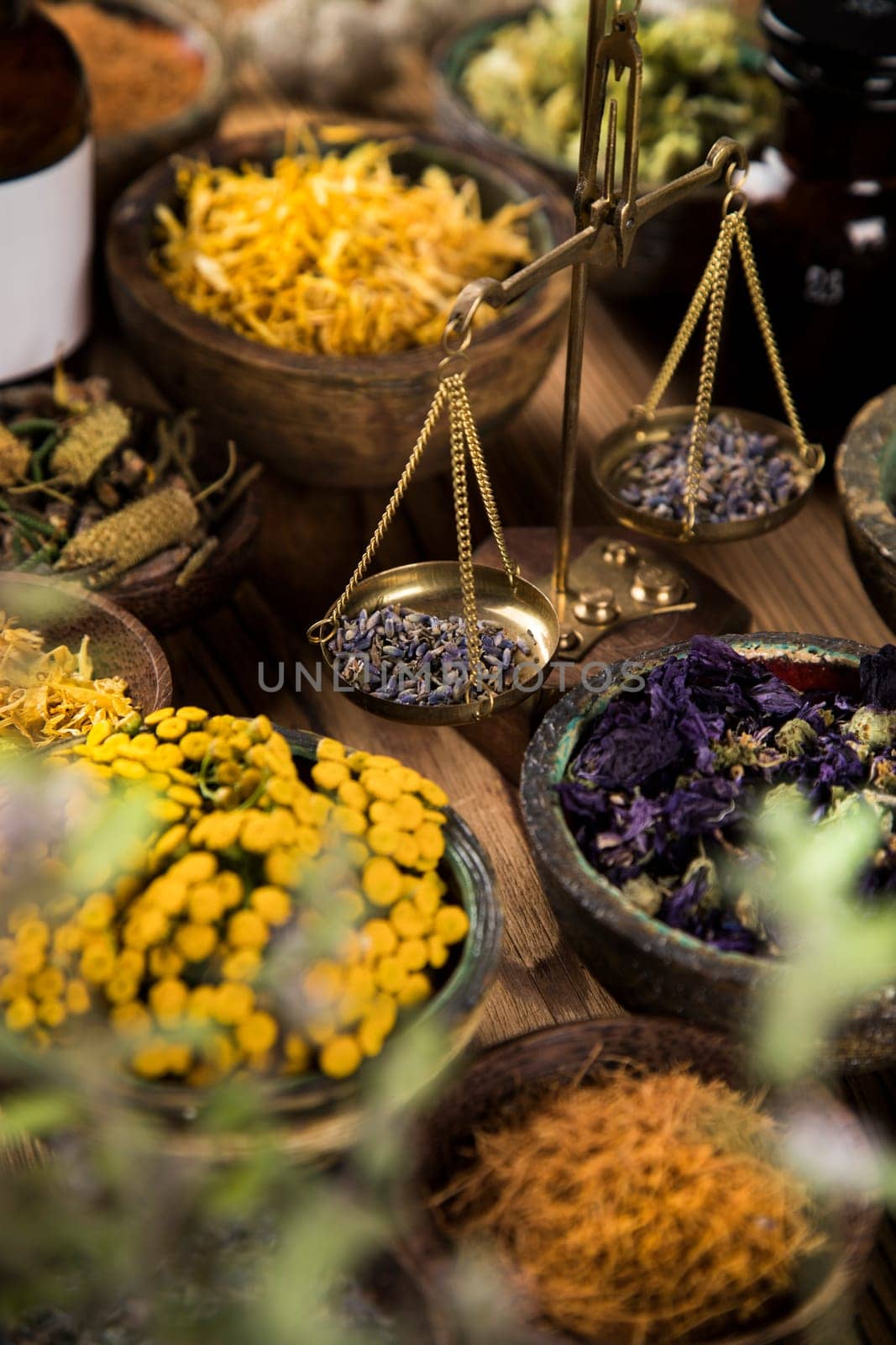Fresh medicinal herbs on wooden background