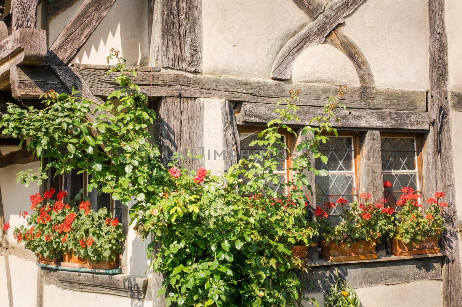 Red geraniums on the windowsill of an old halftimbered farmhouse