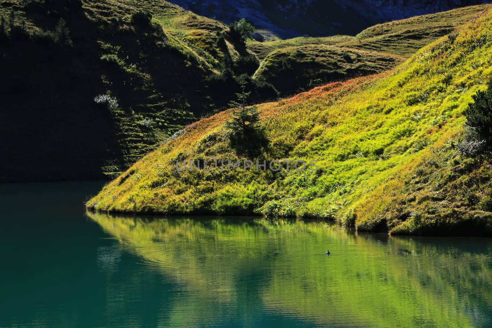 The Schrecksee is a mountain lake in the high Alps