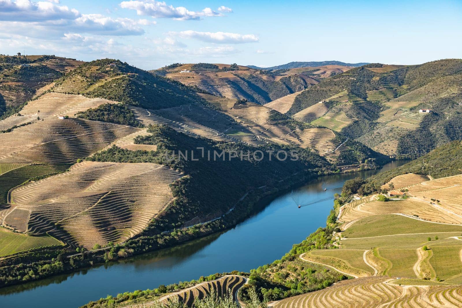 View of the terraced vineyards in the Douro Valley and river near the village of Pinhao, Portugal. Concept for travel in Portugal and most beautiful places in Portugal.