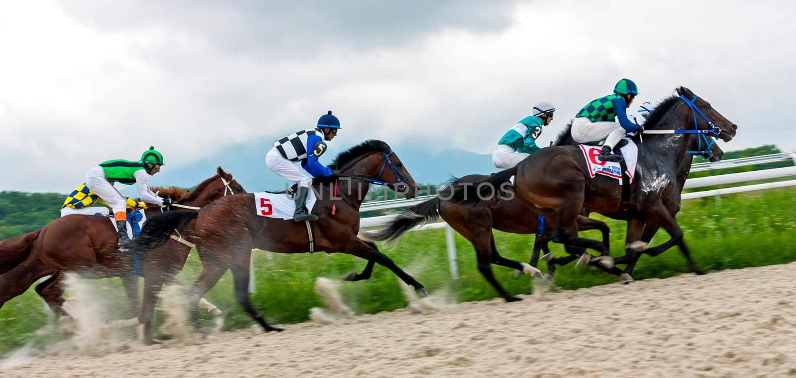 PYATIGORSK, RUSSIA - JUNE 01,2011: Start gates for horse races for the prize of Asuana on Pyatigorsk hippodrome, Northern Caucasus, Russia.