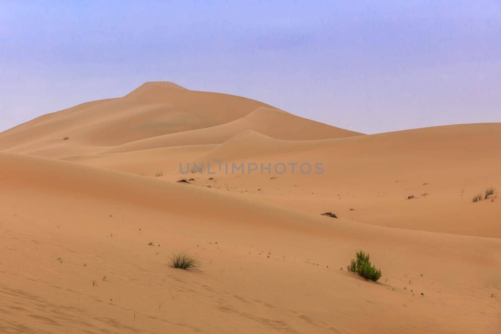 sand dunes in Abu Dhabi desert. United Arab Emirates