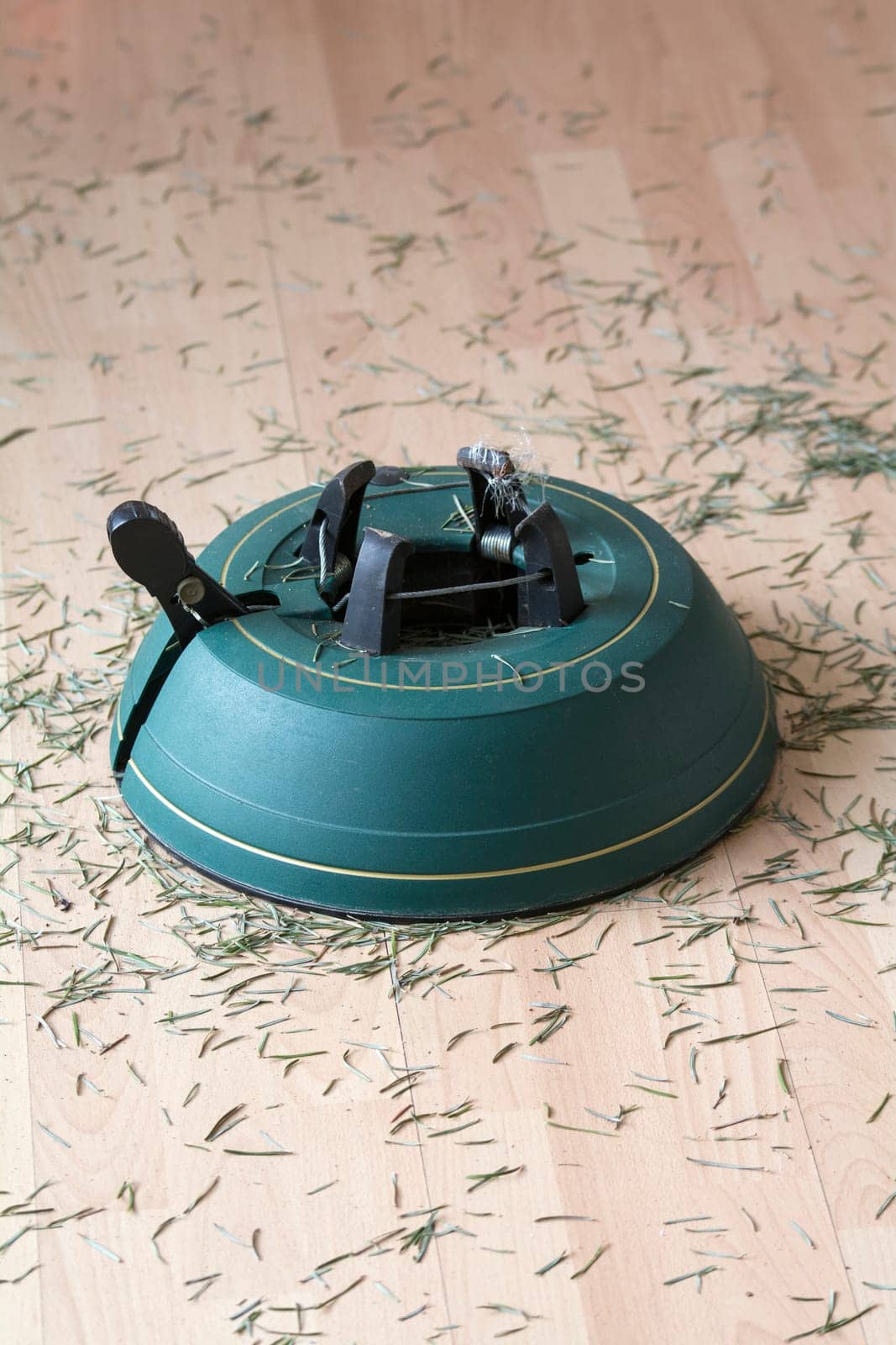 Christmas tree stands after chrsitmas
