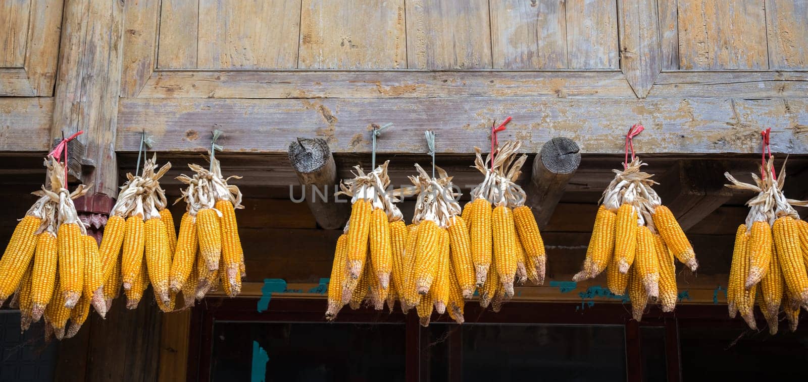 Piles of corn hanging from an old wooden village house to dry, Longji, China