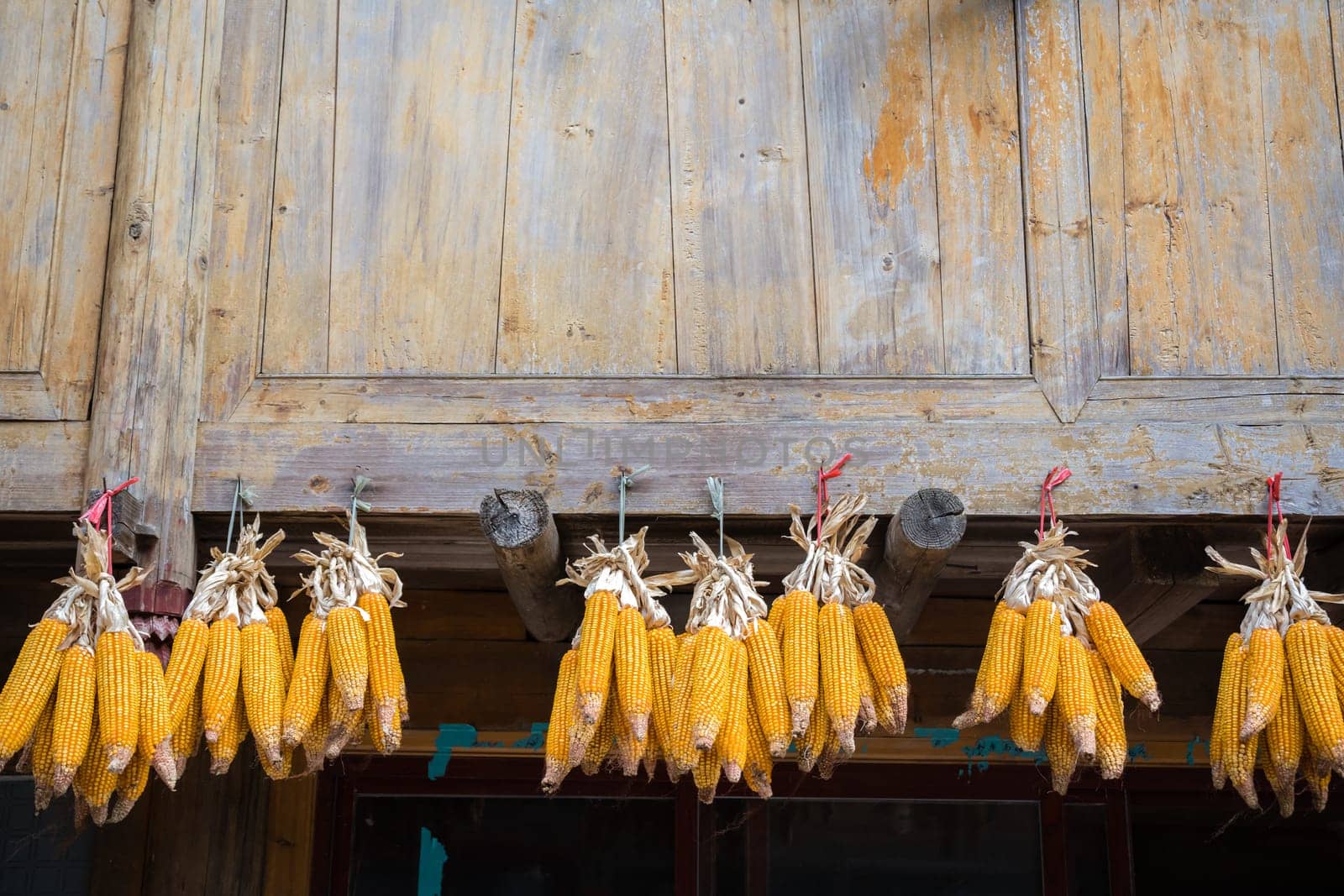 Piles of corn hanging from an old wooden village house to dry, Longji, China