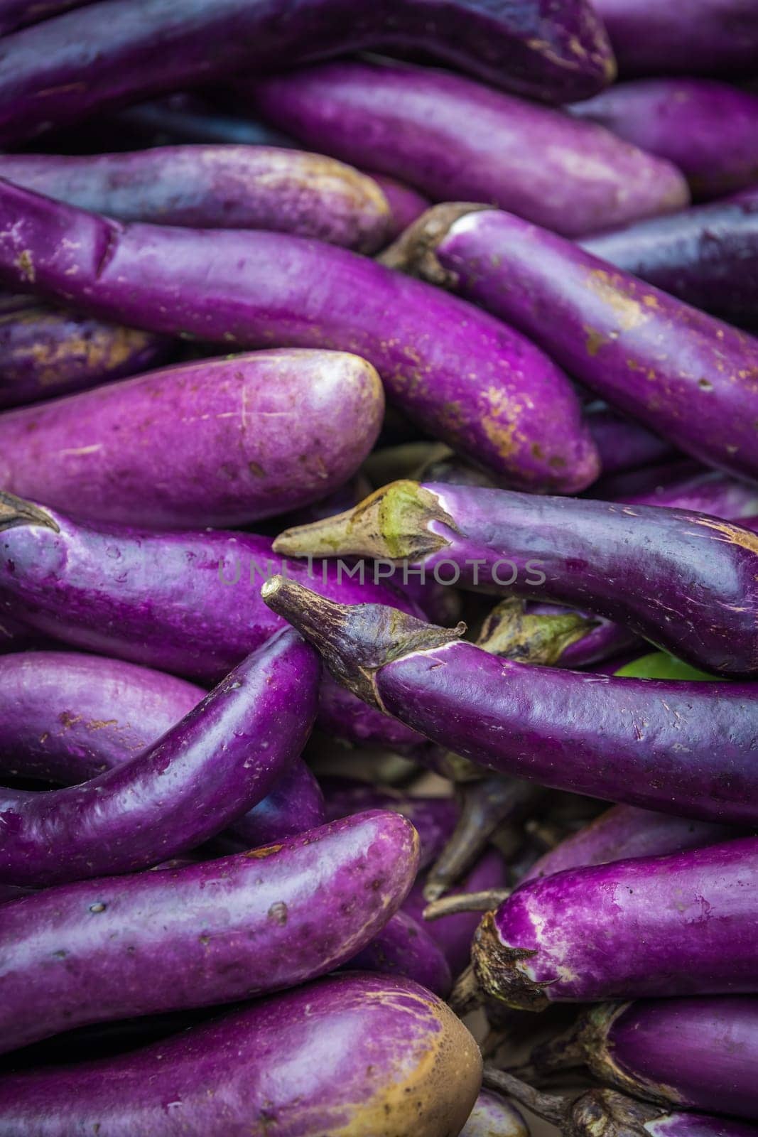 Pile ripe purple aubergines on sale on a street farmers market in China
