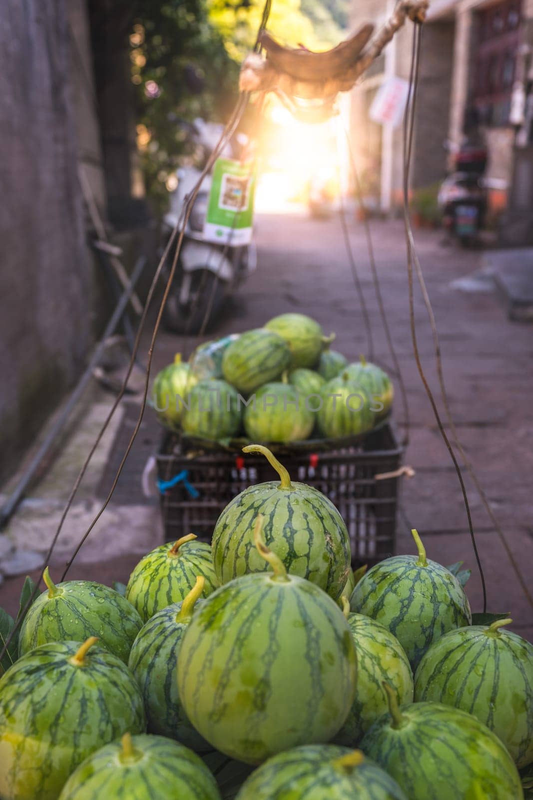 Huge watermelons for sale packed and piled in a plastic boxes to be taken by a porter to the local fruit and vegetable market, Feng Huang town, China