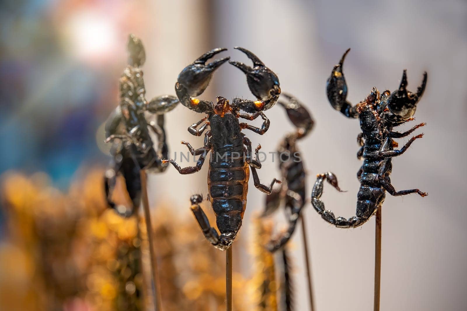 Roasted and fried scorpions on skewers for sale on a street market in China