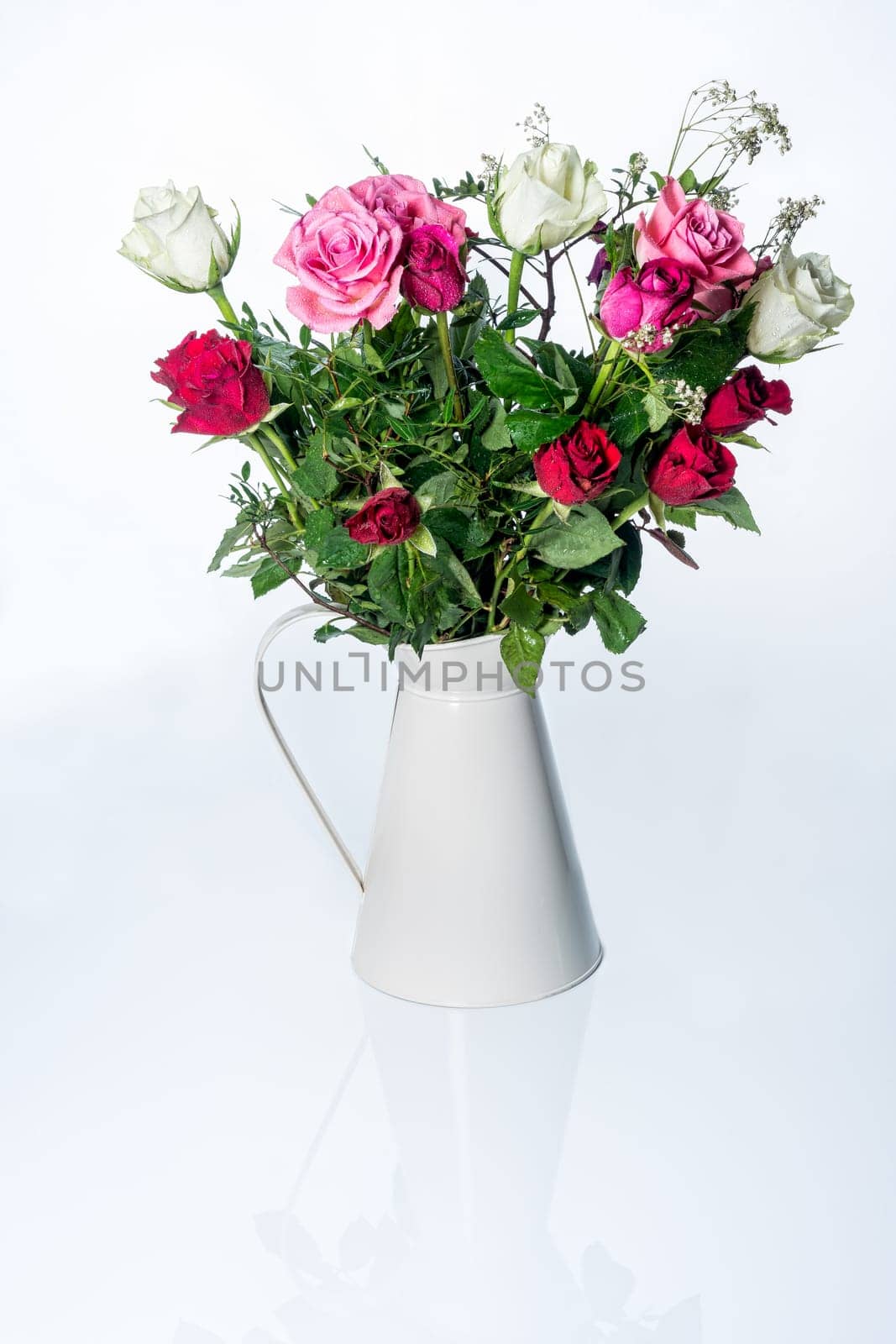 Dewy beautiful white, red and pink roses with green leafs in vintage or retro beige watering can reflected on white surface. Wedding, event decoration