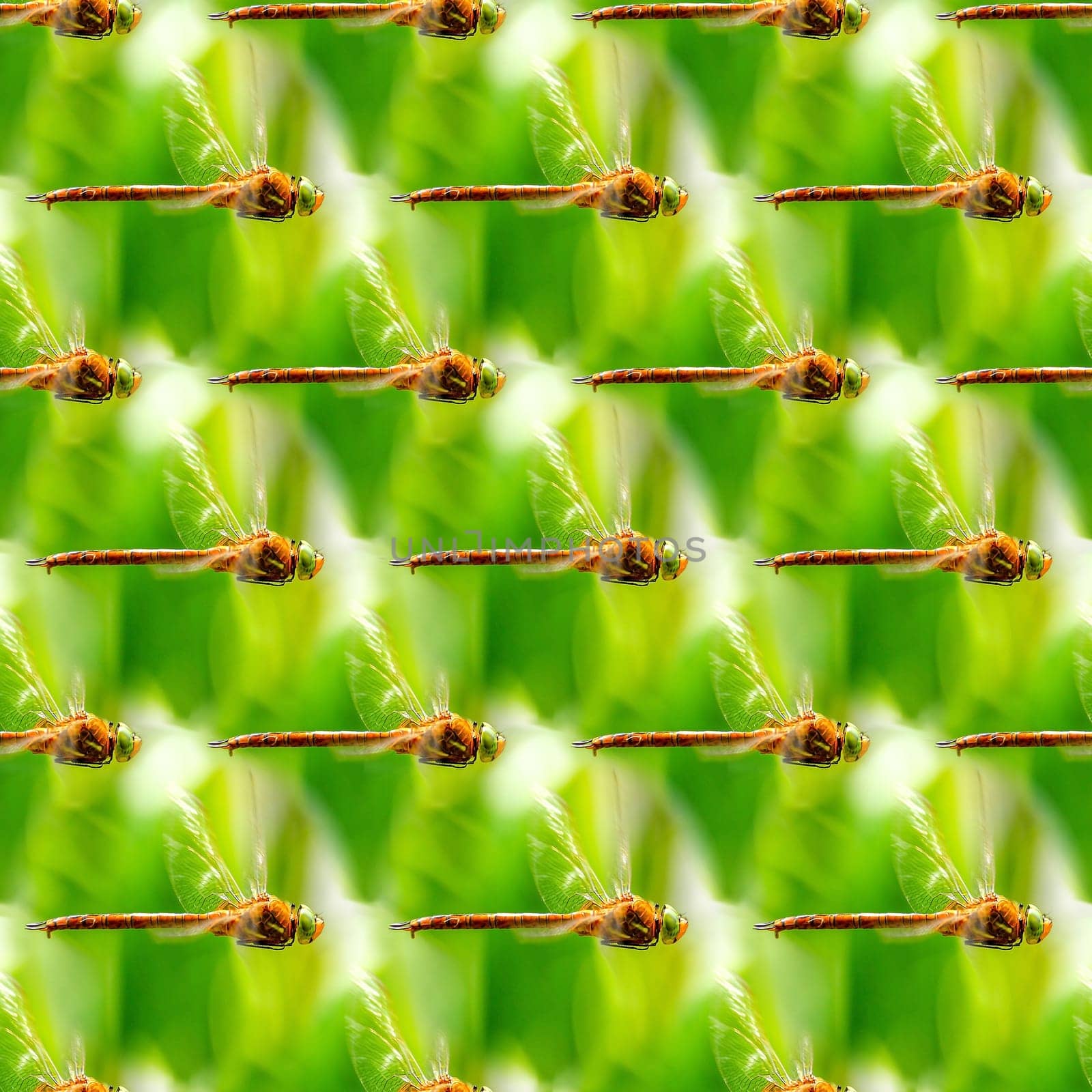 Seamless abstract natural background with flying dragonflies.