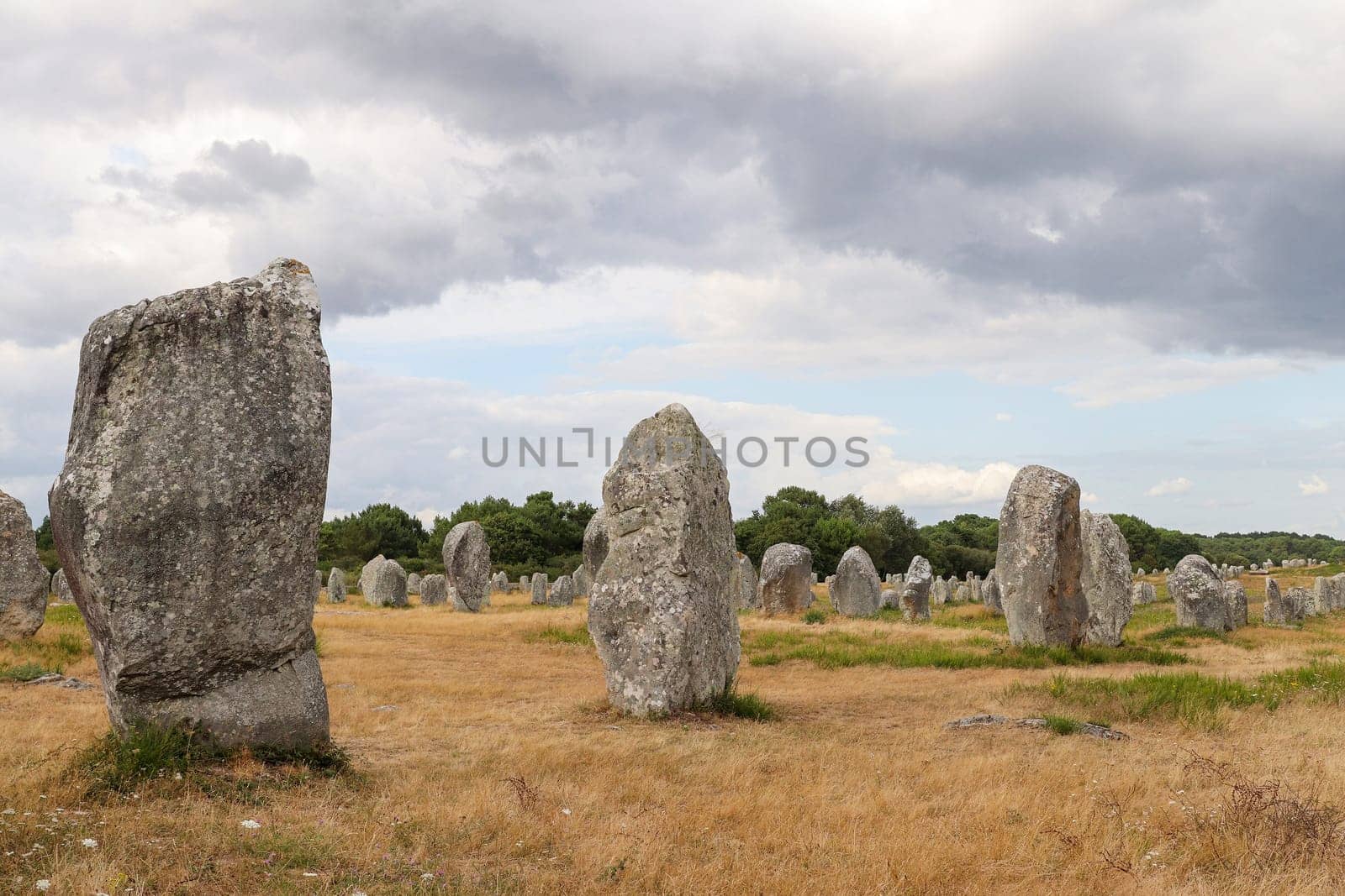 Alignements du Menec  - lines of Menhirs - standing stones - the largest megalithic site in the world, Carnac, Brittany, France.