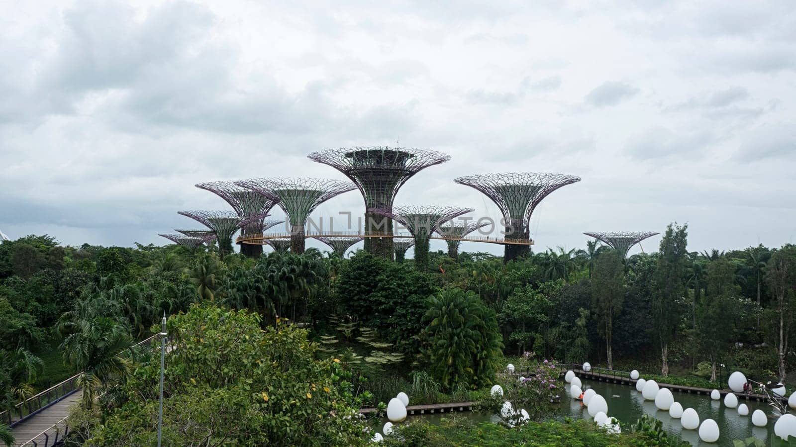gardens by the bay trees daytime modern landmark Singapore view