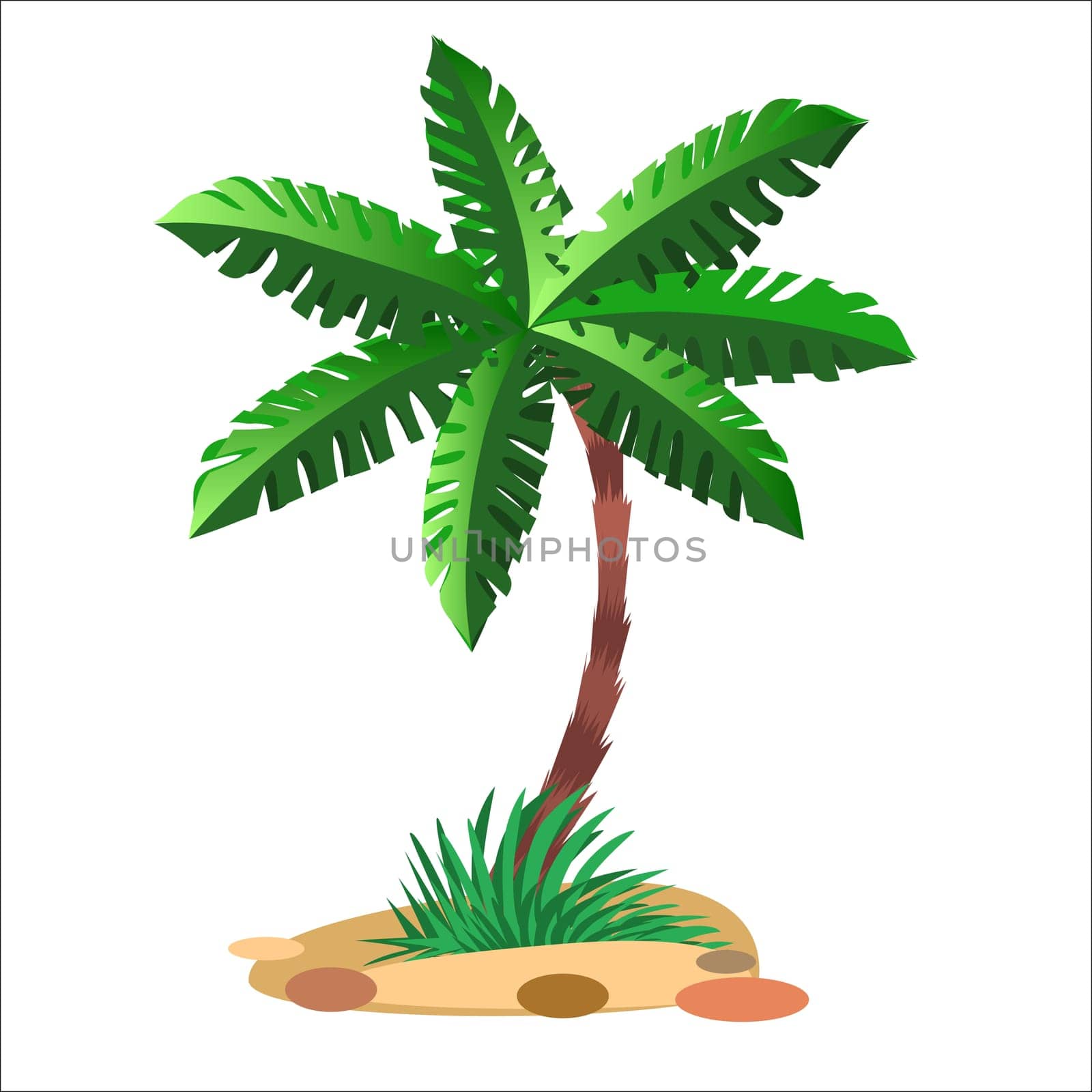 Green palm tree on a sandy soil and a neutral background