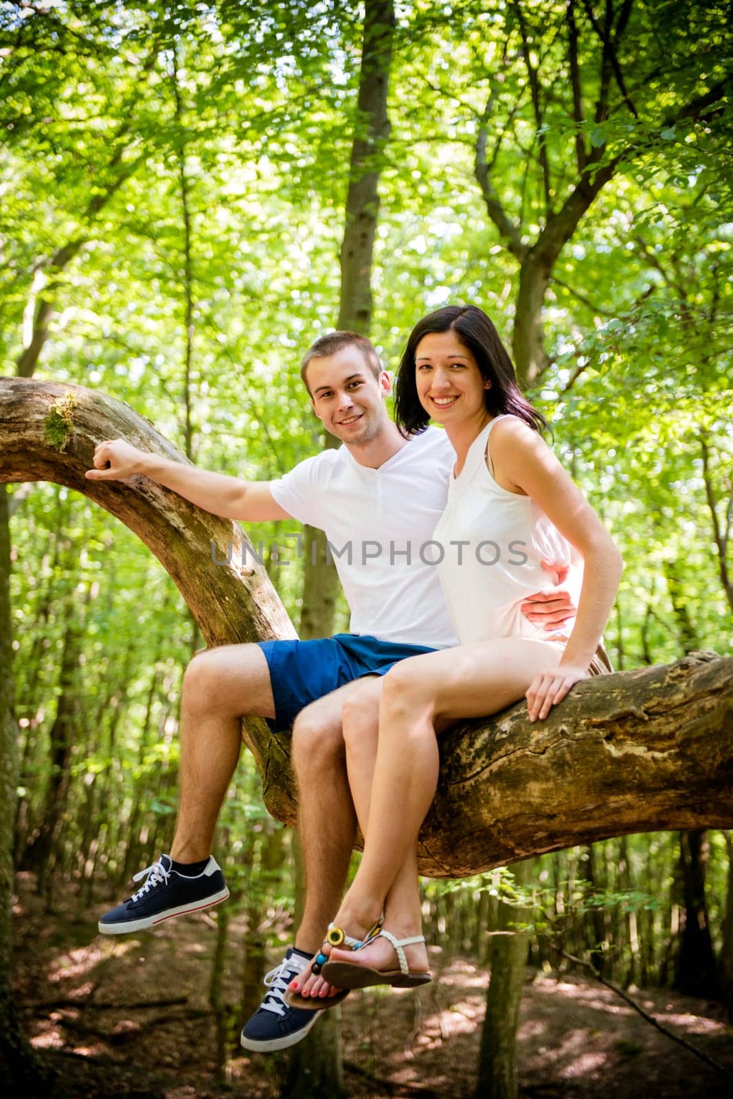 Portrait of young couple sitting together on big tree