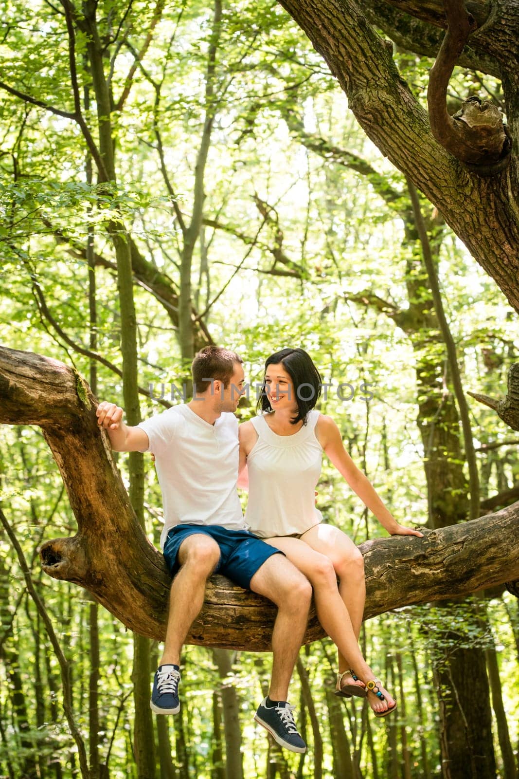 Dating in nature - young couple sitting together on big branch