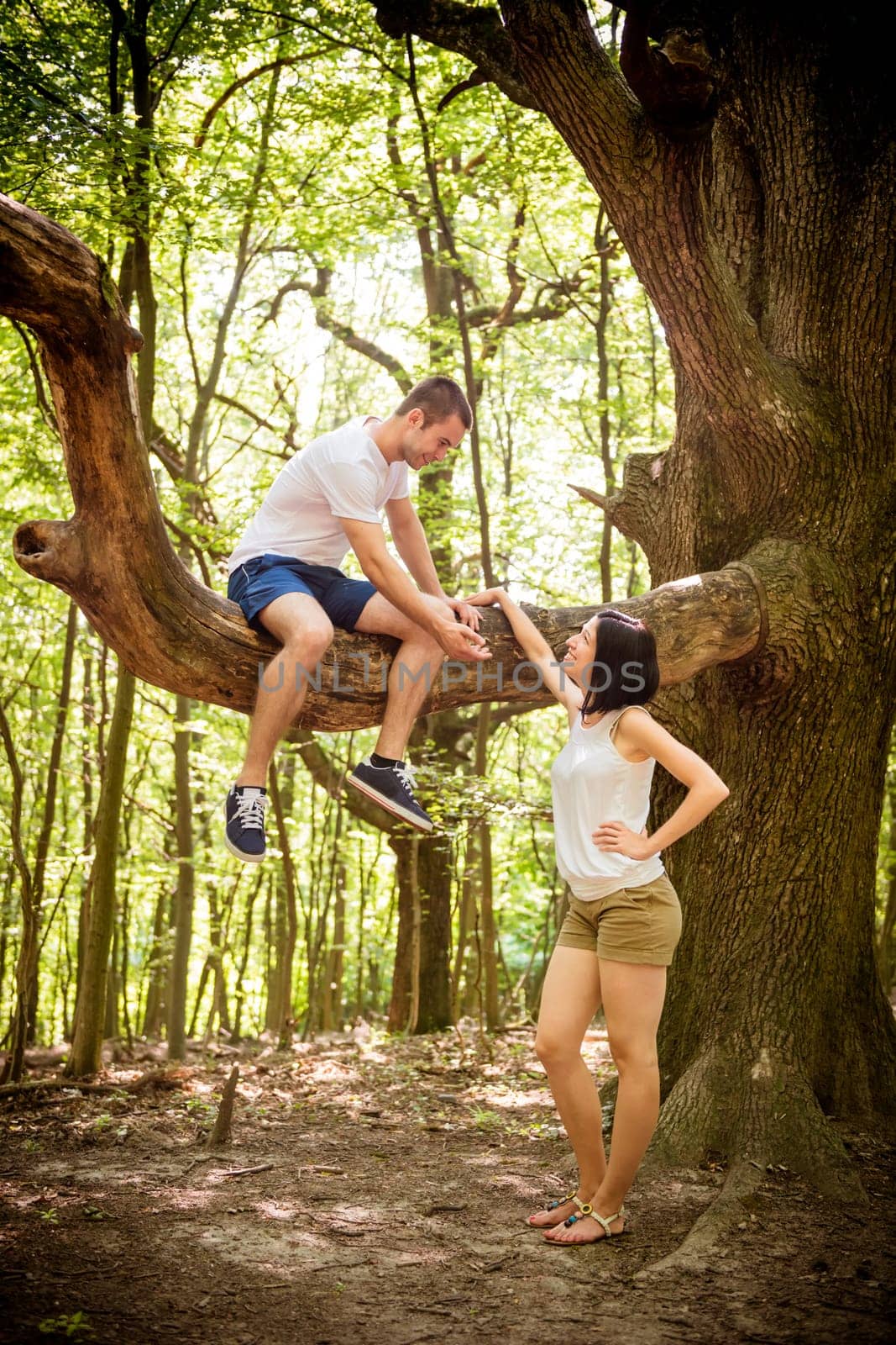 Young man sitting on big tree invites his girlfriend standing bellow