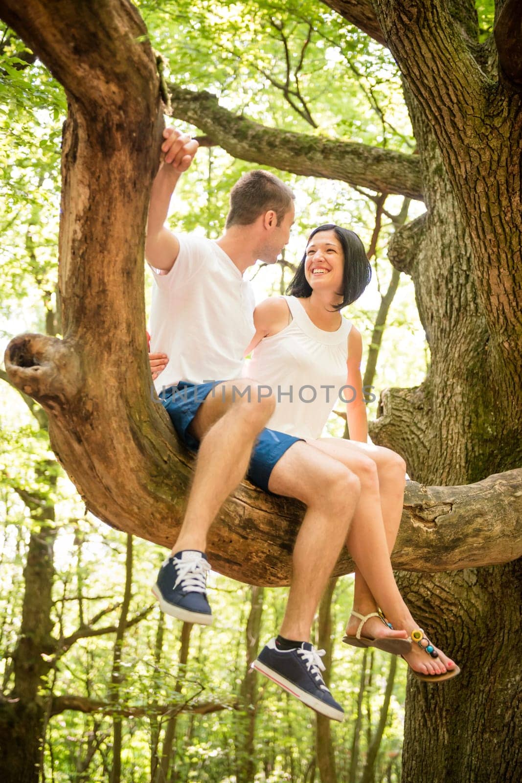 Dating in nature - young couple sitting together on big branch