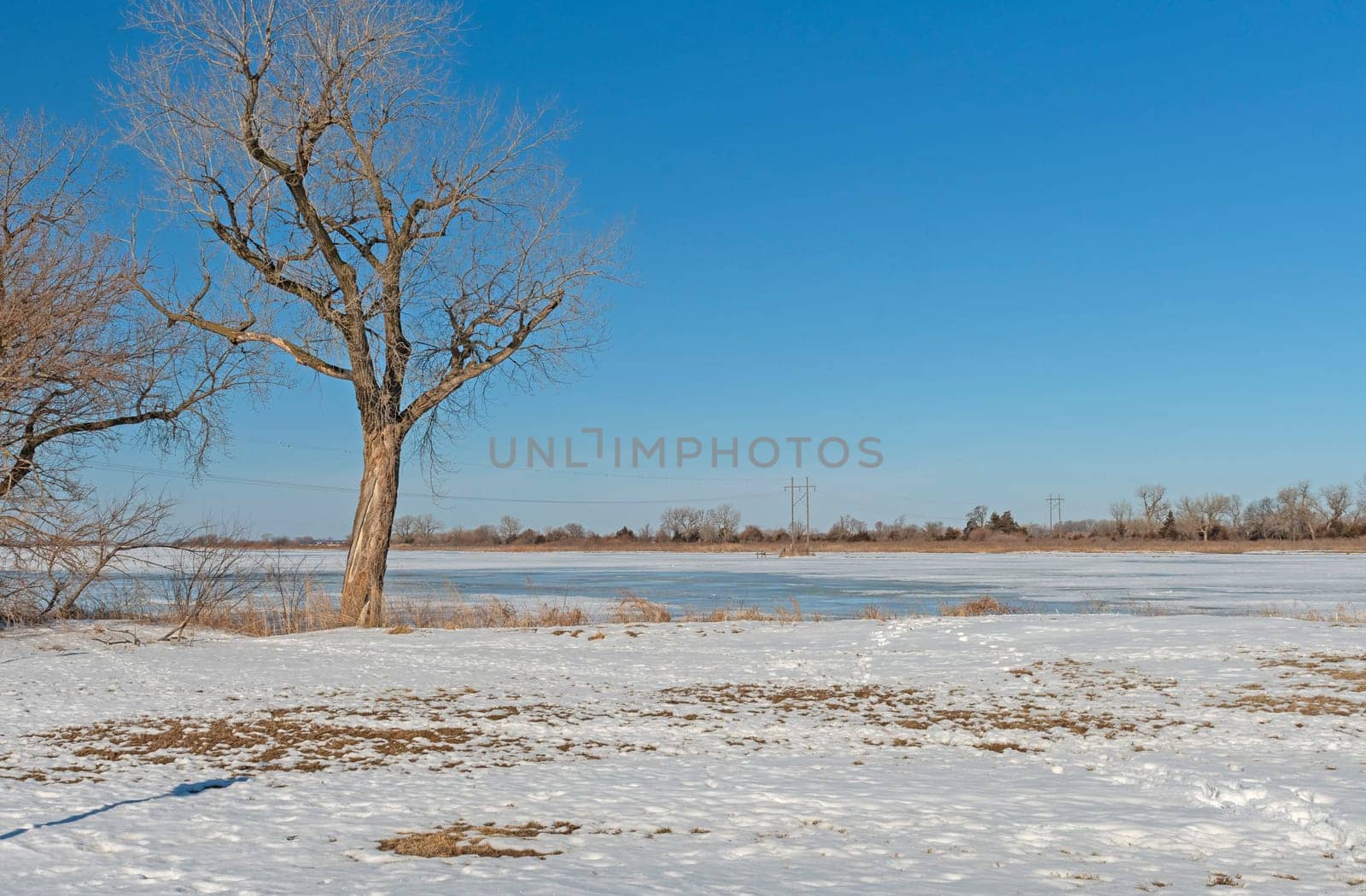 Lonely Winter Morning on The Great Plains on the Platte River near Kearney, Nebraska