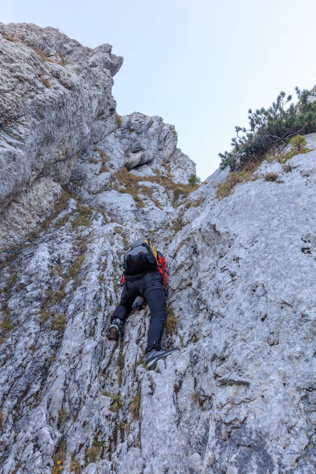 climber on mountain in Piatra Craiului Mountains, Romania