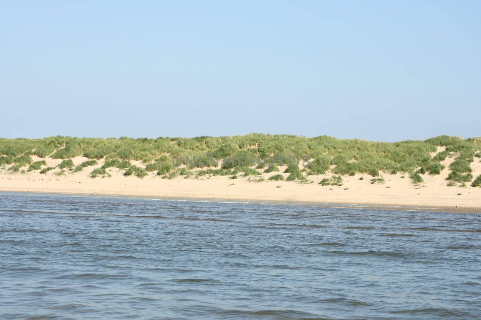 Sandy beach with sand dunes and blue sky in the background