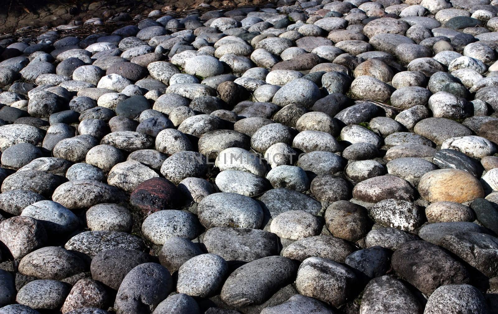 Rounded pebbles on a beach lake closeup.