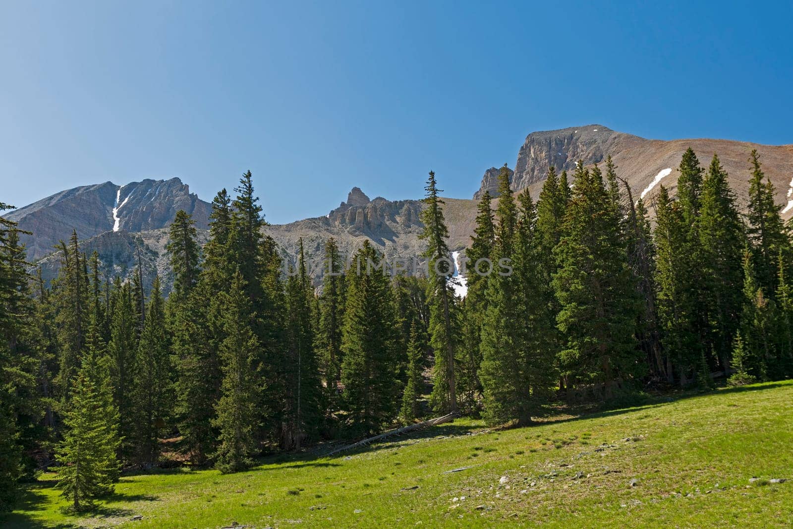 Dramatic Mountains Looming over an Alpine Meadow in Great Basin National Park in Nevada
