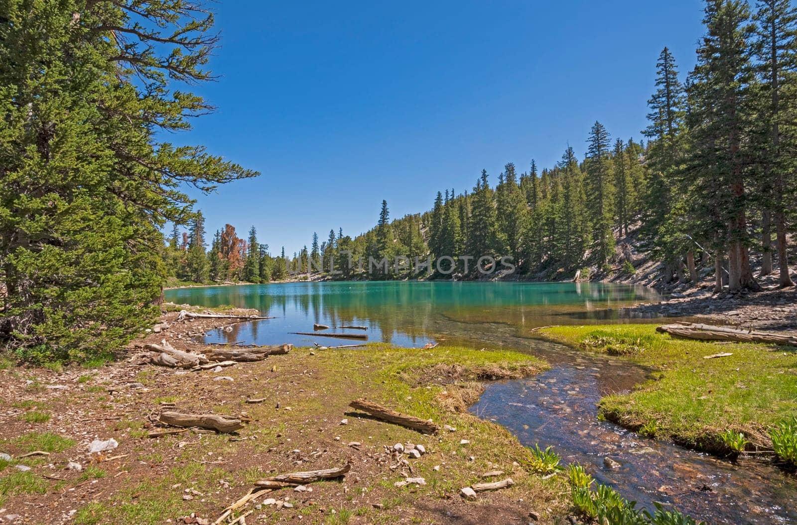 Quiet Stream Emptying into an Alpine Teresa Lake in Great Basin National Park in Nevada