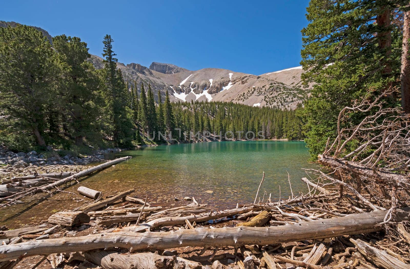 Serene View of Teresa Lake in Summer in Great Basin National Park in Nevada