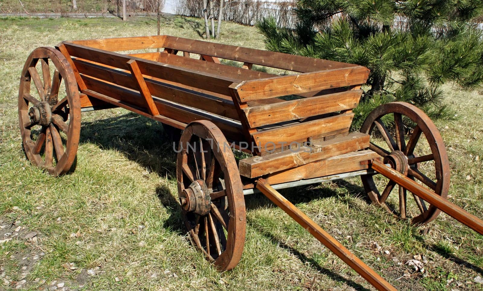 A old cart in a summer park.